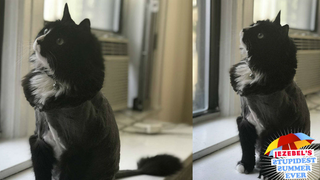 My Pussy Is Hideous